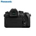 Panasonic/松下 DMC-FZ2500GK 长焦单反数码照相机