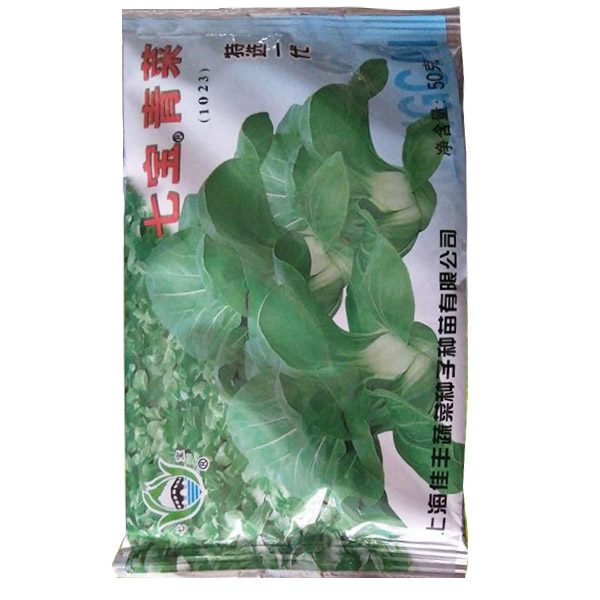 上海七宝青 高产青菜 菜籽 耐寒耐热耐肥 蔬菜种子50g* 2袋装