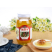 云阳特产 精灵子 红枣花蜂蜜1000g 零添加的蜜