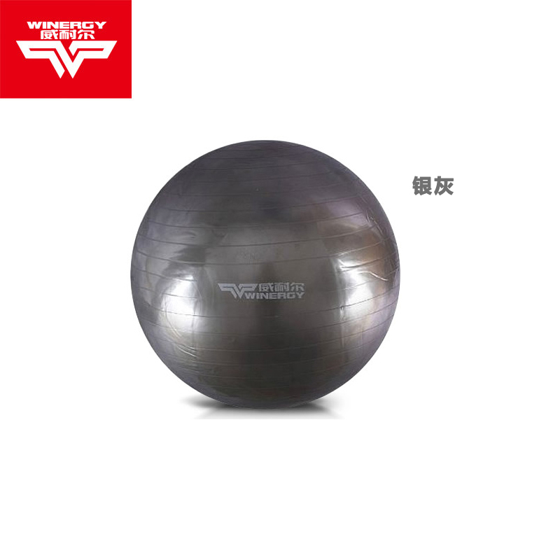 Winergy/威耐尔瑜伽球 加厚防爆减肥健身球9800
