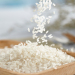 卡宴 贡米袋装 原香稻大米 颗粒饱满 2500g
