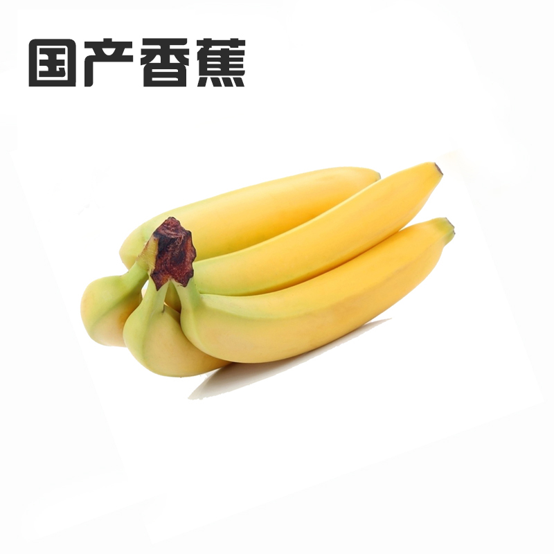 海南新鲜香蕉500g 软糯爽滑营养丰富