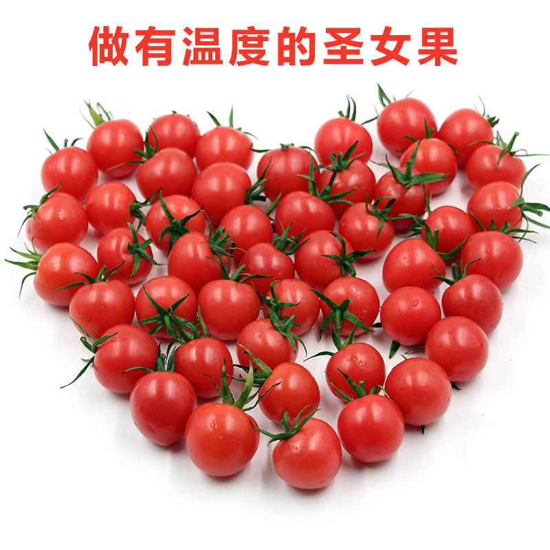海南圣女果 樱桃西红柿500克 色泽艳丽营养丰富